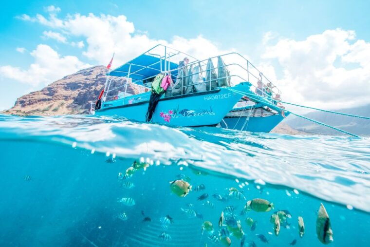 oahu-waikiki-turtle-snorkeling-adventure