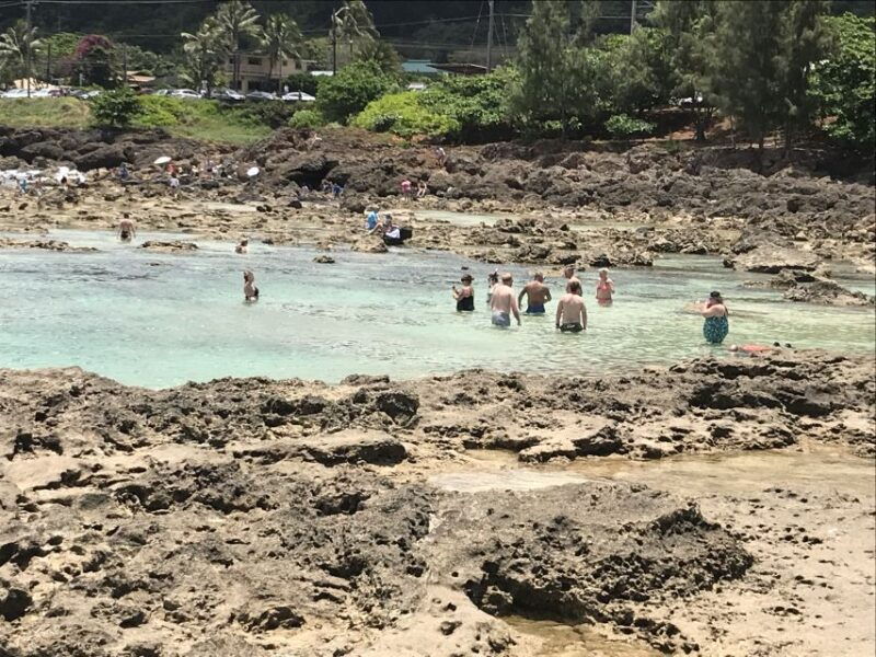 oahu-waimea-falls-valley-north-shore-day