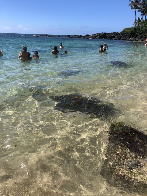oahu-waimea-falls-valley-north-shore-day