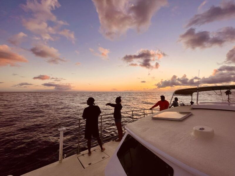 oahu-west-coast-whale-watching-and-turtle-snorkeling