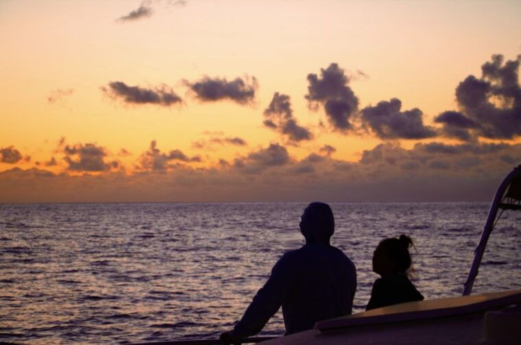oahu-west-coast-whale-watching-and-turtle-snorkeling