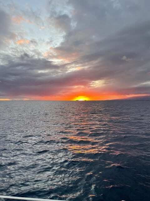 Oahu: Whale Sail Charter - The Experience in Detail: Why It Stands Out