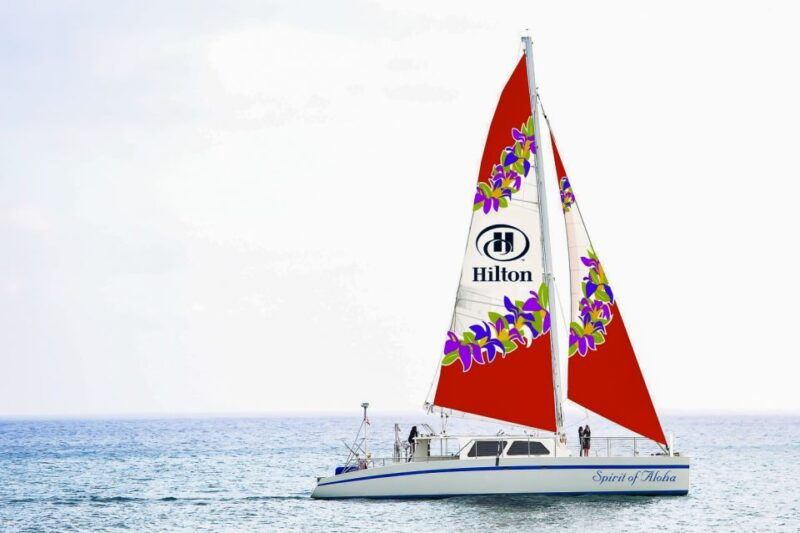 oahu-whale-watching-afternoon-sailing-cruise