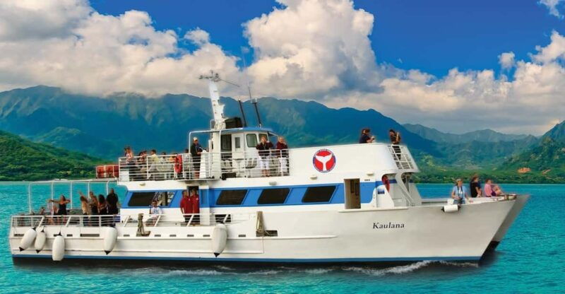 oahu-whale-watching-excursion-from-ala-wai-harbor