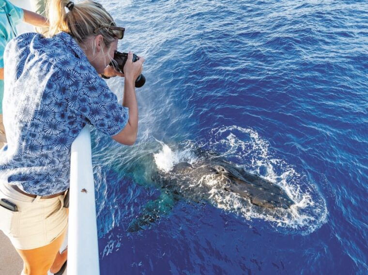 oahu-whale-watching-excursion-from-ala-wai-harbor