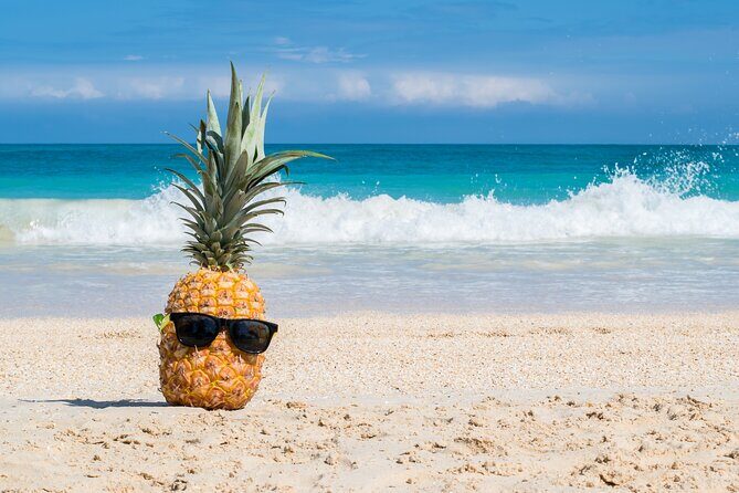 Oahu's Ultimate Grand Circle Island Tour with Snorkeling and More - A Practical Breakdown of the Experience