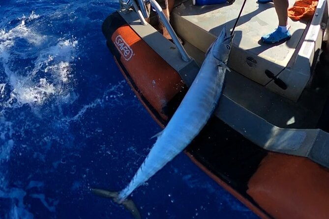 oahus-unique-whale-watching-and-fishing-charter