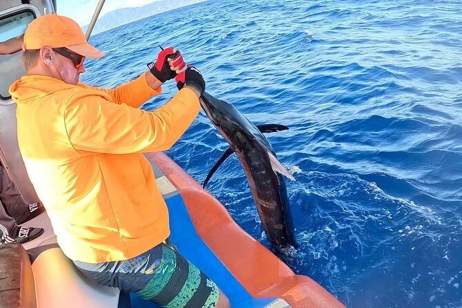 oahus-unique-whale-watching-and-fishing-charter