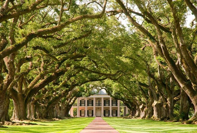 oak-alley-plantation-and-3-hour-new-orleans-city-cemetery-tour