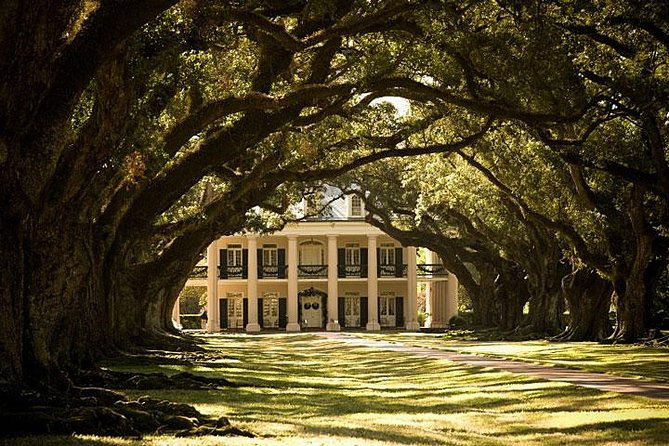 oak-alley-plantation-and-large-airboat-swamp-tour-from-new-orleans