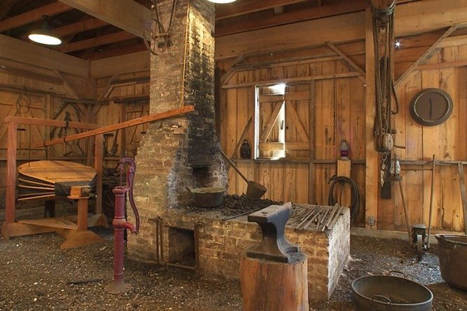 oak-alley-plantation-and-large-airboat-swamp-tour-from-new-orleans