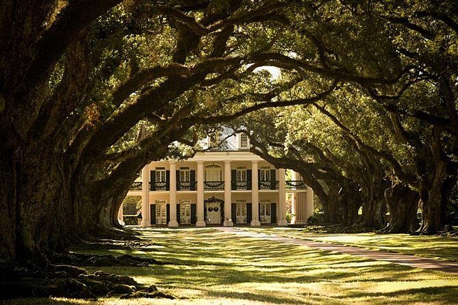 Oak Alley Plantation and Small Airboat Tour from New Orleans - The Details Behind the Tour