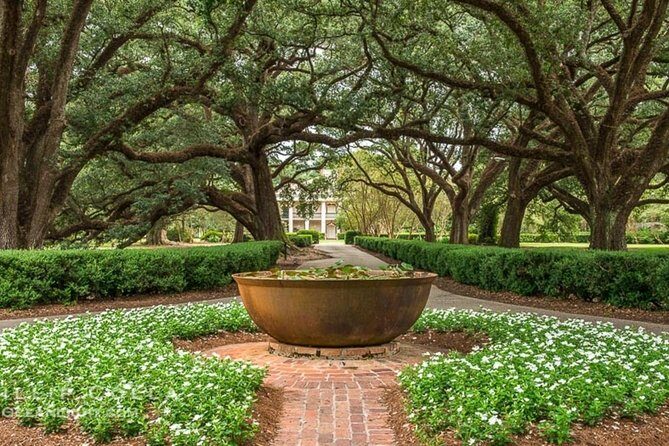Oak Alley Plantation and Small Airboat Tour from New Orleans - Authentic Experiences from Reviews