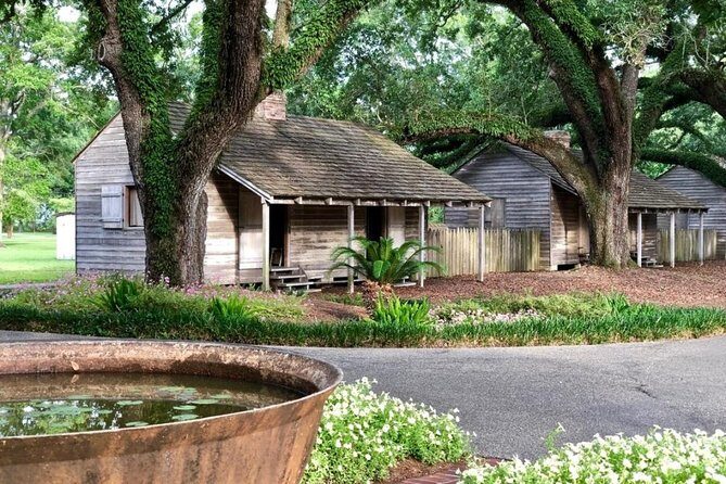 Oak Alley Plantation and Small Airboat Tour from New Orleans - Who Would Love This Tour?
