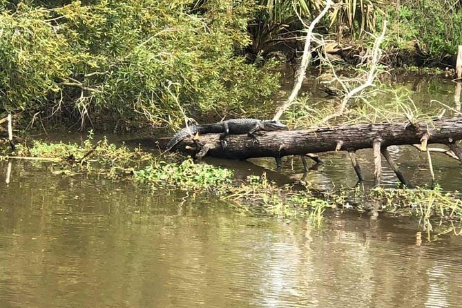 Oak Alley Plantation and Small Airboat Tour from New Orleans - Final Thoughts