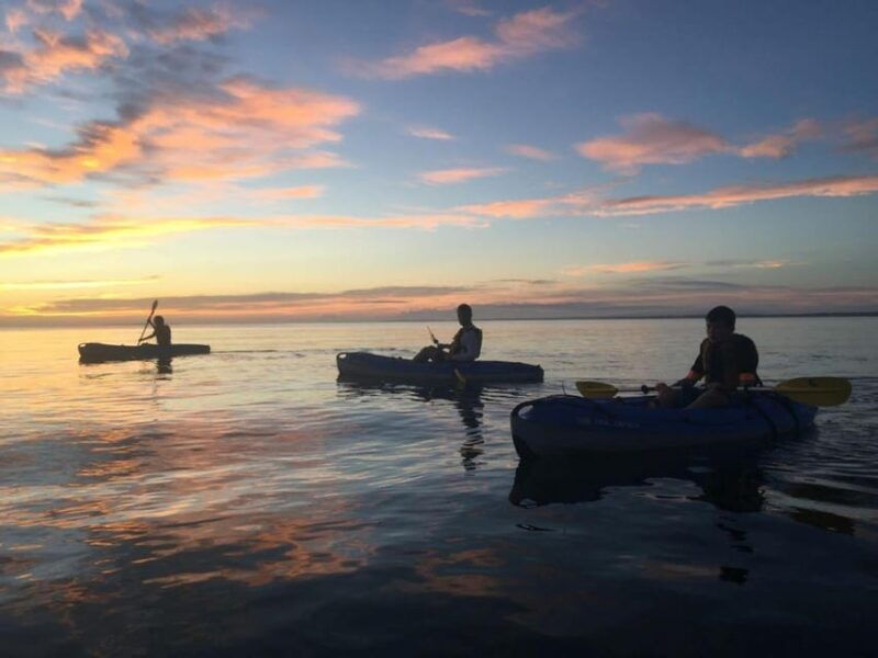 oak-bluffs-deliveries
