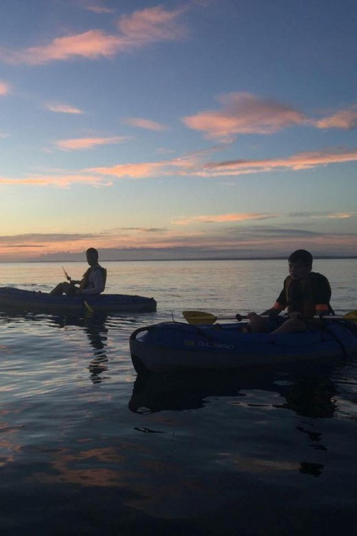 oak-bluffs-deliveries