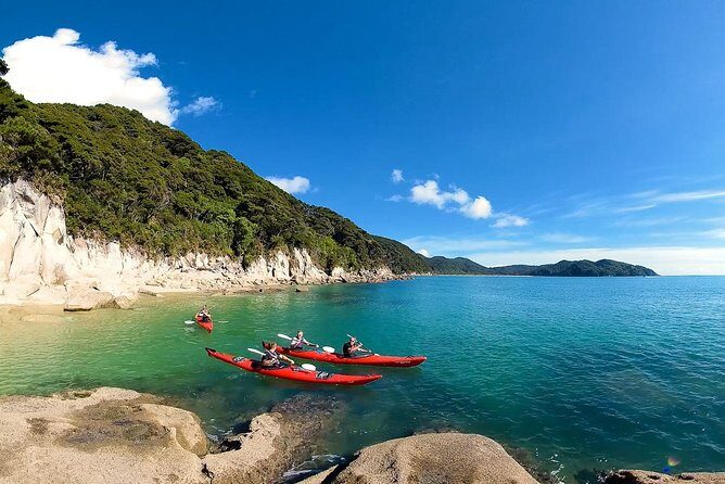 Oarsome Marine Reserve Kayak Tour - Key Points  
