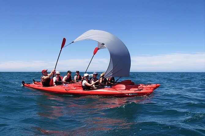 Oarsome Marine Reserve Kayak Tour - Why the Oarsome Marine Reserve Kayak Tour is Worth Considering