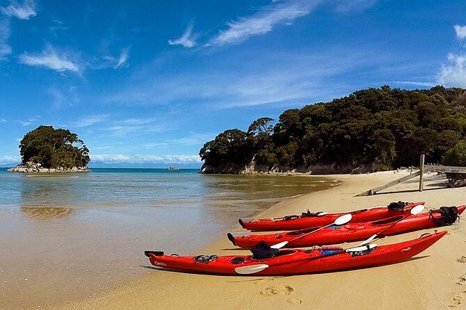 Oarsome Marine Reserve Kayak Tour - What Reviewers Say
