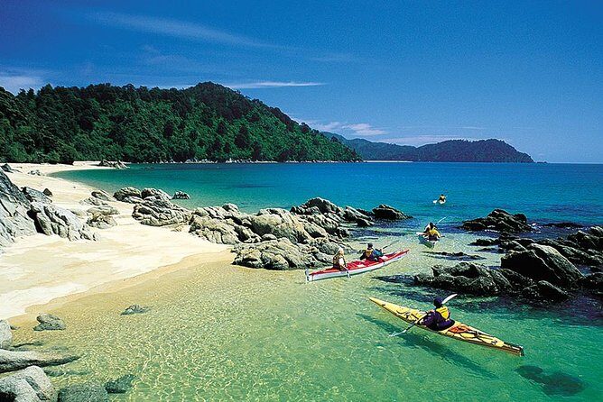 Oarsome Marine Reserve Kayak Tour - FAQ