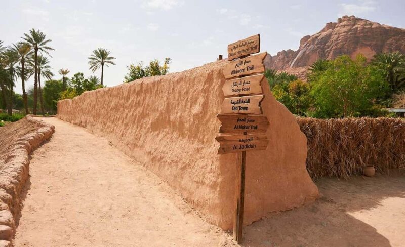 Oasis Adventure in Alula - A Closer Look at the Oasis Adventure in AlUla  
