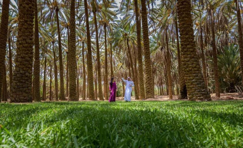 Oasis Adventure in Alula - The Value for Money  