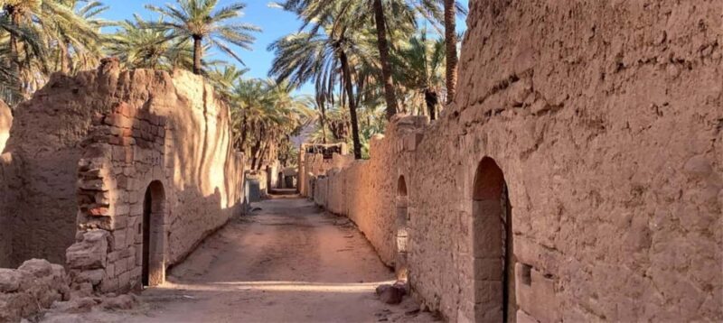 Oasis Adventure in Alula - Final Thoughts  