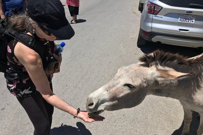 Oatman Mining Camp Burros Museums Scenic RT66 Tour - FAQs