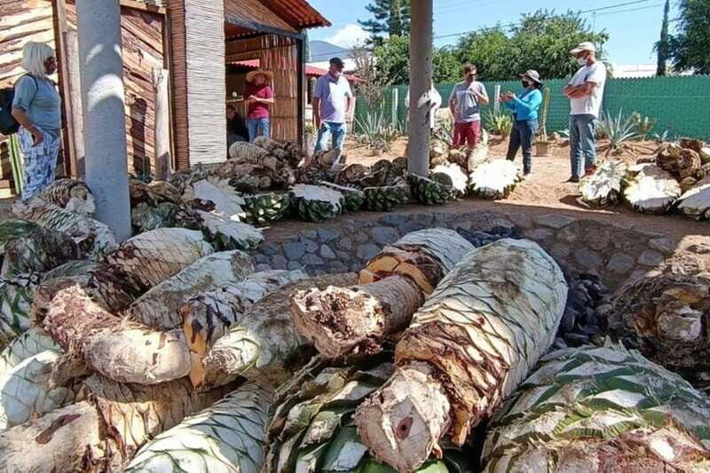 Oaxaca: Ancestral Mezcal Experience - Who Would Enjoy This Tour Most?