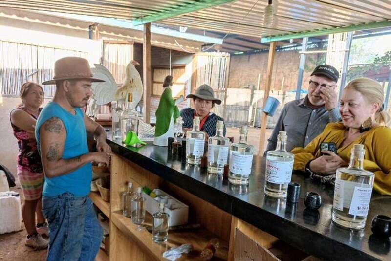 Oaxaca: Ancestral Mezcal Tasting in Ocotlan Valley - Accessibility and Additional Comforts