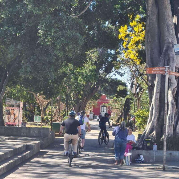 oaxaca-city-bike-tour-with-professional-guide