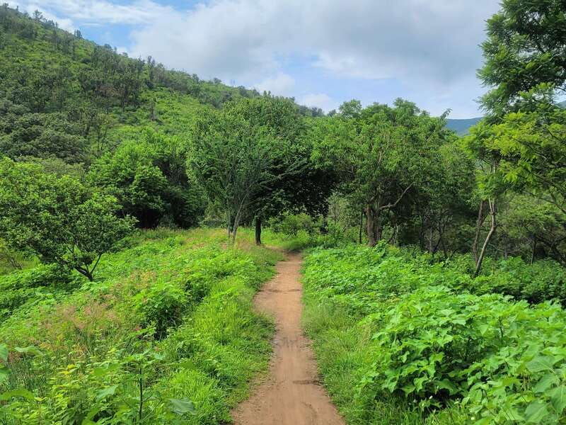 oaxaca-cross-country-bike-ride-tule-tree-lake