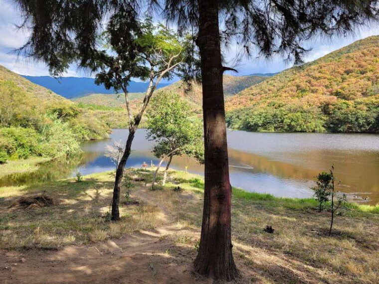 oaxaca-cross-country-bike-ride-tule-tree-lake