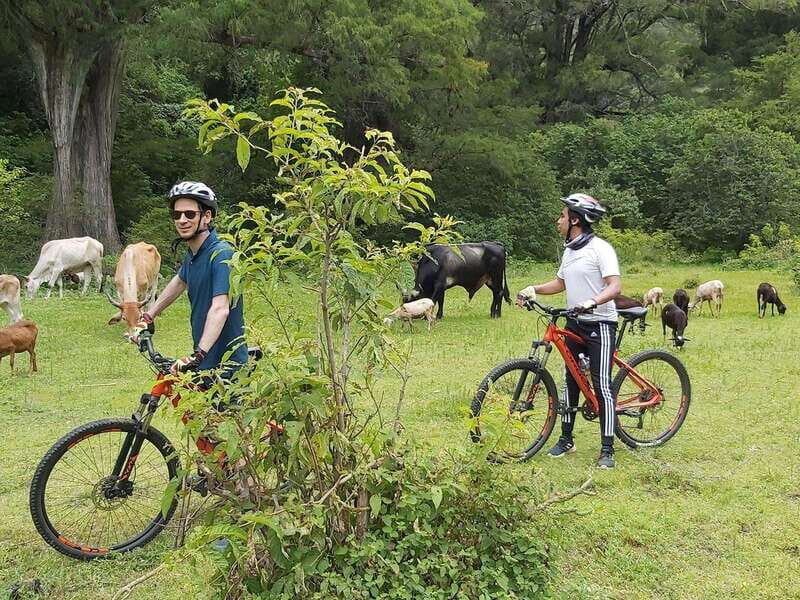 Oaxaca: Ejutla Canyon 1 Day Bike Tour - The Details of the Ejutla Canyon Bike Tour