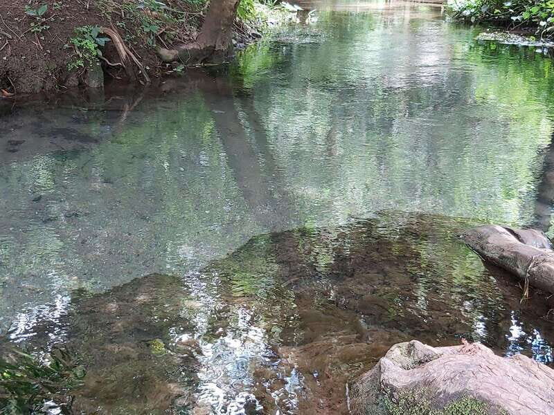 Oaxaca: Ejutla Canyon 1 Day Bike Tour - Final Thoughts: Is It Worth It?