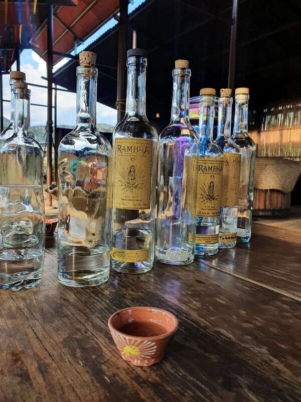 Oaxaca: Empowering Women Private Tour - Practical Details and Tips