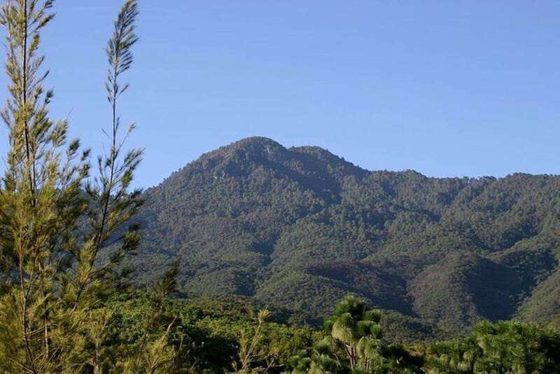 Oaxaca: Forest and Nature Walking Experience - Key Points
