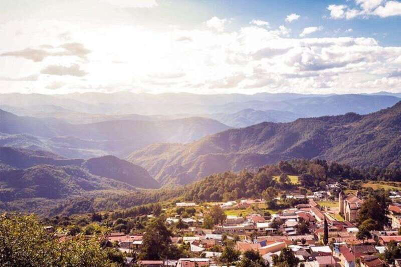 Oaxaca: Forest and Nature Walking Experience - FAQs