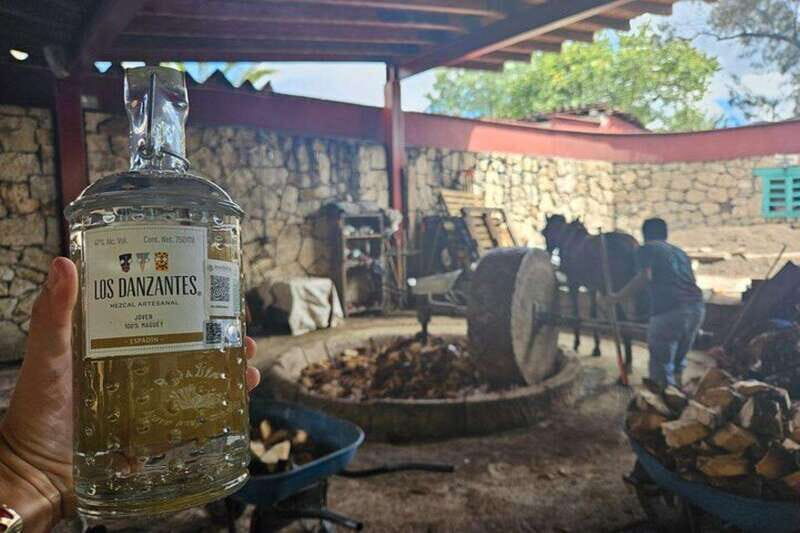 Oaxaca: Hierve el Agua, Mezcal Distillery, and Lunch Tour - Lunch in the Maguey Fields