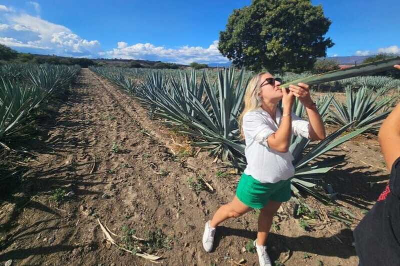 Oaxaca: Hierve el Agua, Mezcal Distillery, and Lunch Tour - Practical Details