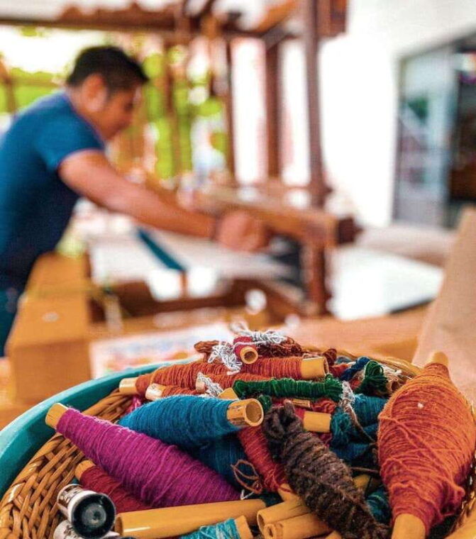 oaxaca-hierve-el-agua-mitla-tree-of-tule-mezcal