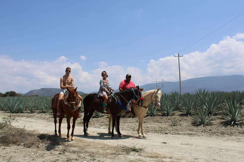 Oaxaca: Horseback Riding and Mezcal Tasting Tour - A Detailed Look at the Oaxaca Horseback Riding and Mezcal Tasting Tour