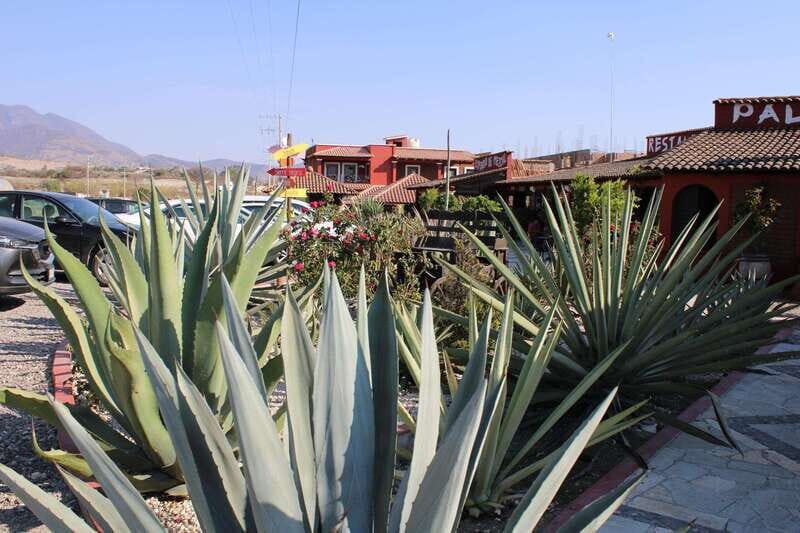 Oaxaca: Horseback Riding and Mezcal Tasting Tour - Who Should Consider This Tour?