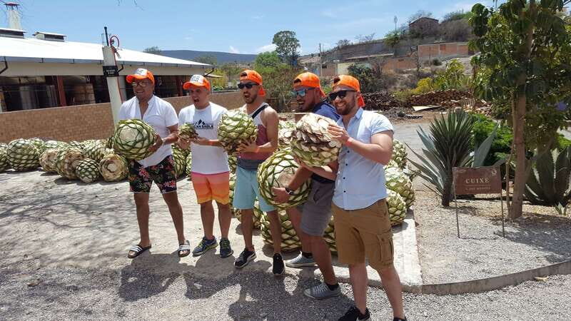 Oaxaca: Mezcal Adventure - Key Points