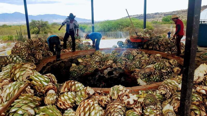 Oaxaca: Mezcal Adventure - A detailed look at what this Oaxaca Mezcal Adventure offers