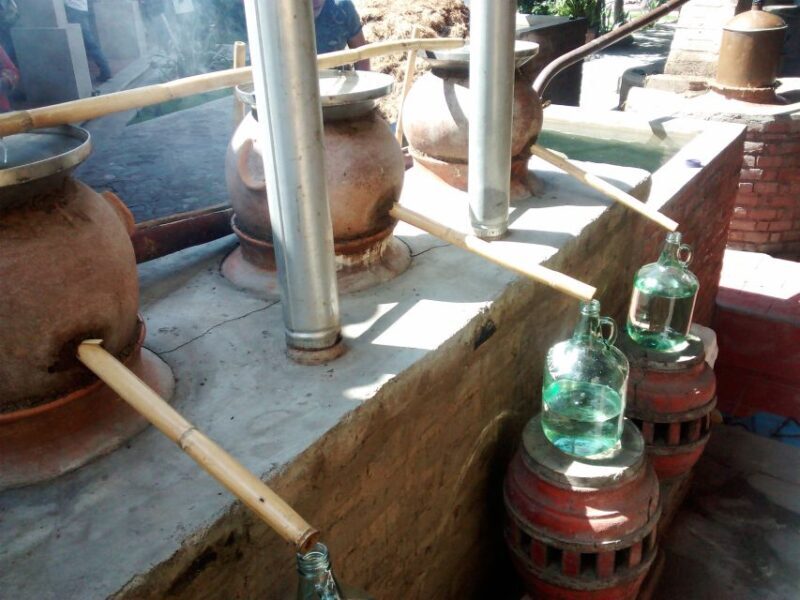 Oaxaca: Mezcal Adventure - Final thoughts