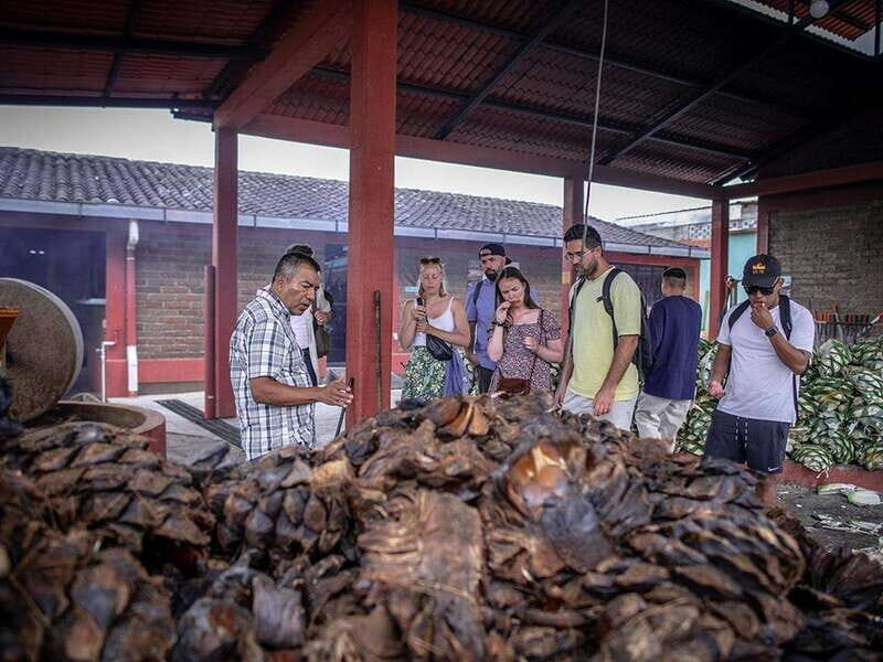 Oaxaca: Mezcal Distillery Tour with Tastings - A Taste of Local Culture with a Traditional Lunch