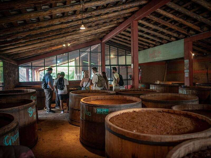 Oaxaca: Mezcal Distillery Tour with Tastings - Practical Details and What to Expect