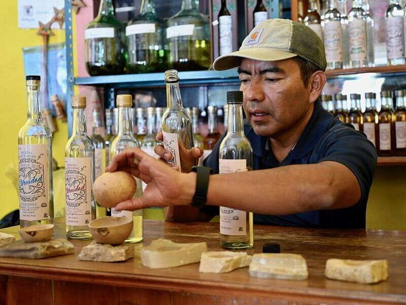 Oaxaca: Mezcal Distillery Tour with Tastings - Who Will Love This Tour?